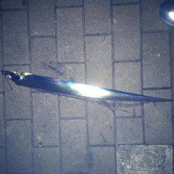 まだタチウオいけましたー！