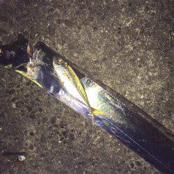 ライトライトライト