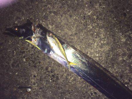 ライトライトライト