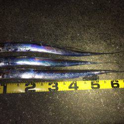 渋さが増してる気がします