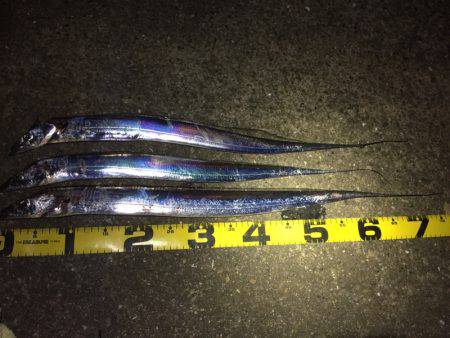 渋さが増してる気がします