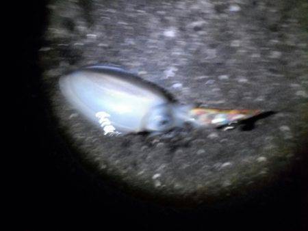 スーパームーン