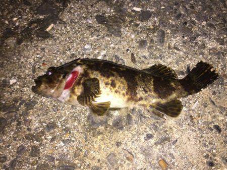 風が強かった！