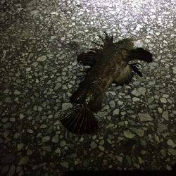 いつもと違うとこに‼