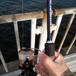 久々に坊主逃れでしたが…【ポーアイ北公園】