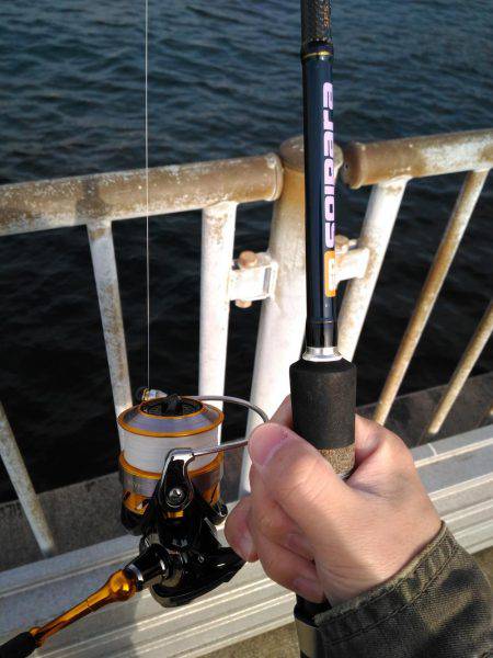 久々に坊主逃れでしたが…【ポーアイ北公園】