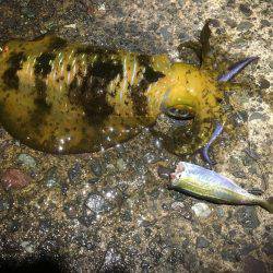 悪天候になる前に