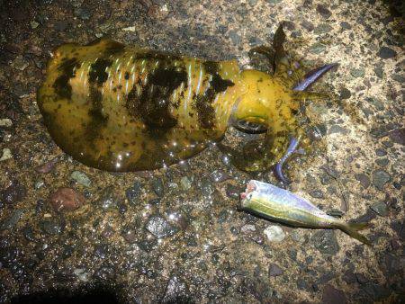 悪天候になる前に