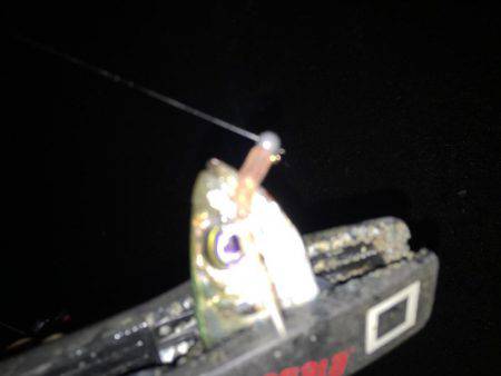 寒い夜のアジング