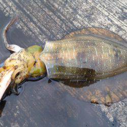 雨と雨の隙間で!!