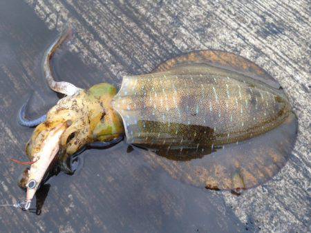 雨と雨の隙間で！！
