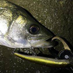 ハイシーズン♪