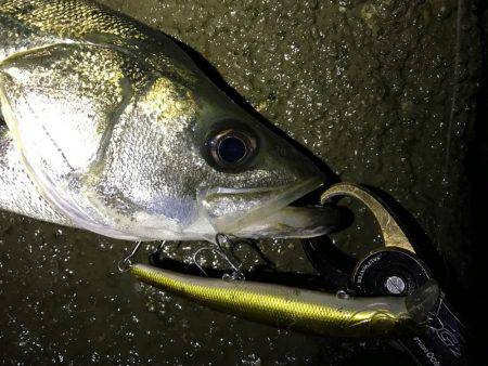 ハイシーズン♪