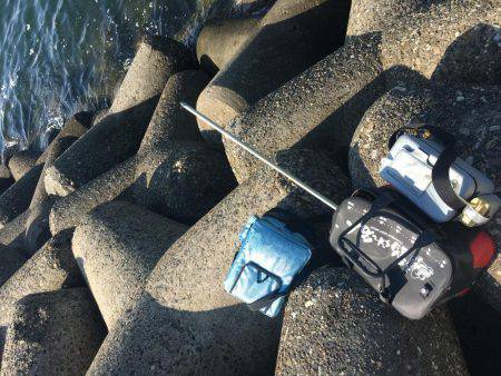 テトラの穴には？！