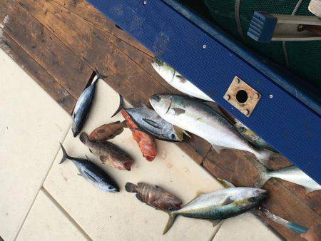 祈願のヒラマサ