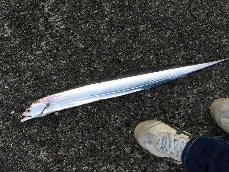 武庫川一文字にて朝練