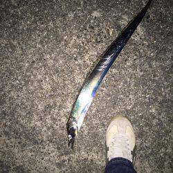 そろそろ終盤かな？？