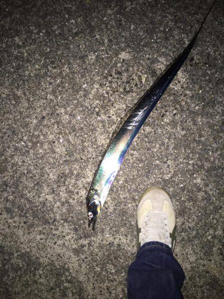 そろそろ終盤かな？？