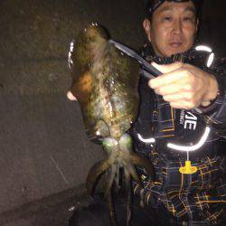 アオリウキ釣り