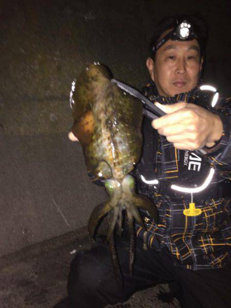 アオリウキ釣り