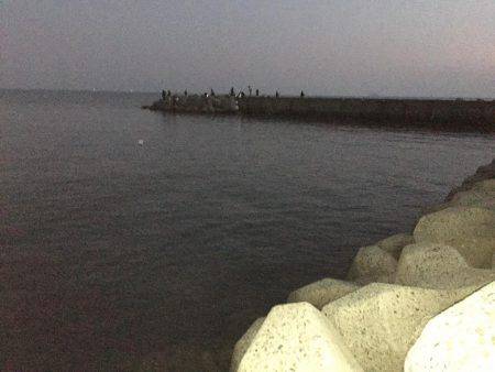 アジングからのガシリング