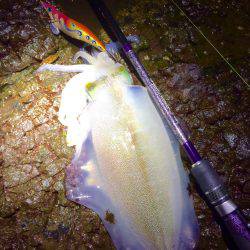 何とかギリギリキロアップ