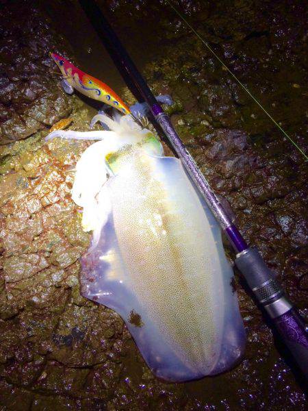 何とかギリギリキロアップ