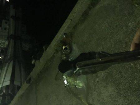 淡路島アジング