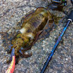 久々のポイントで…