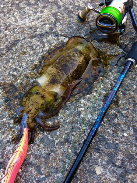 久々のポイントで…