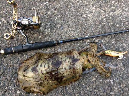 雨の前のエギング