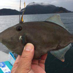 マイボートでハゲ釣り