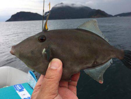 マイボートでハゲ釣り