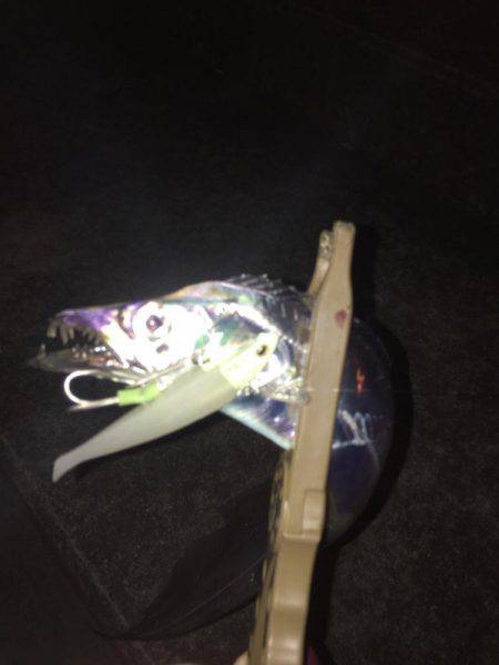 太刀魚のちコウイカ