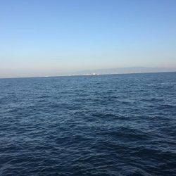 ロックフィッシュのちタチウオ