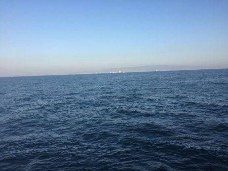 ロックフィッシュのちタチウオ