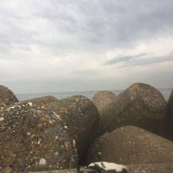 サゴシ狙い！！