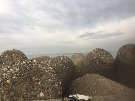 サゴシ狙い！！