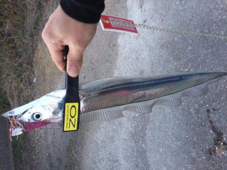 ワインド楽しすぎ!