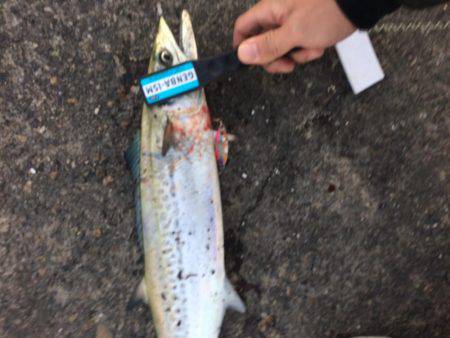 タチウオ狙いでしたが、、、