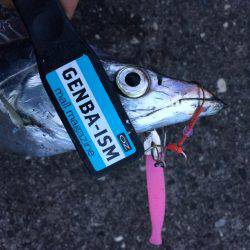 ワインドは奥が深い