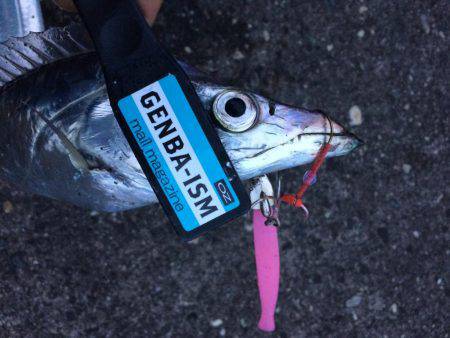 ワインドは奥が深い