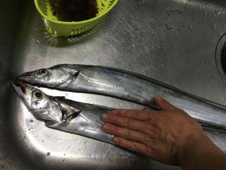 今年はデカイかも