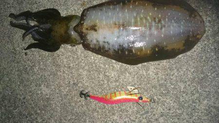 スーパームーン