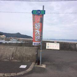 青アジ確保から