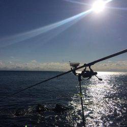 もうかなり寒いです