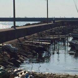 タケノコメバリング