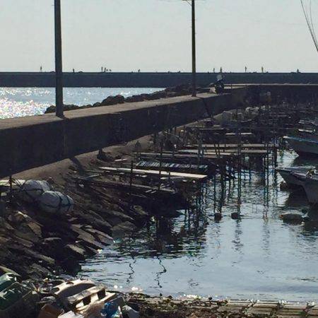 タケノコメバリング