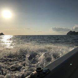 レンタルボートでカワハギゲーム