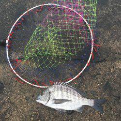 久しぶりの円錐ウキ